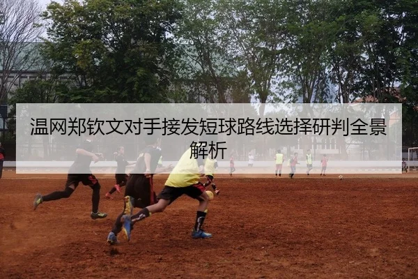 温网郑钦文对手接发短球路线选择研判全景解析